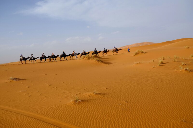Dune au désert du Maroc