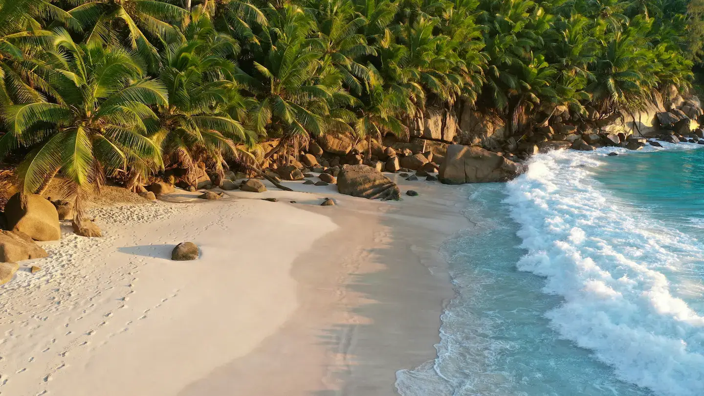Plage en Jamaique