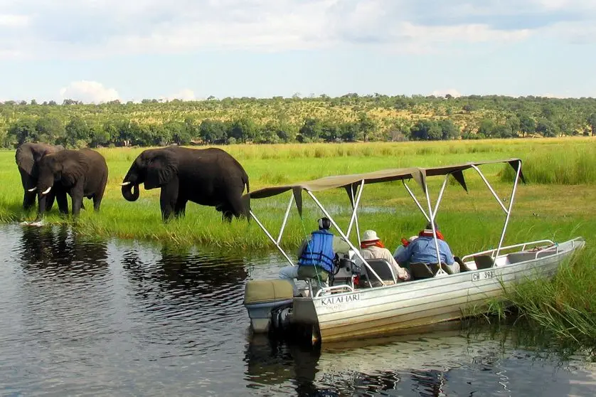 parc national minkébé au Gabon